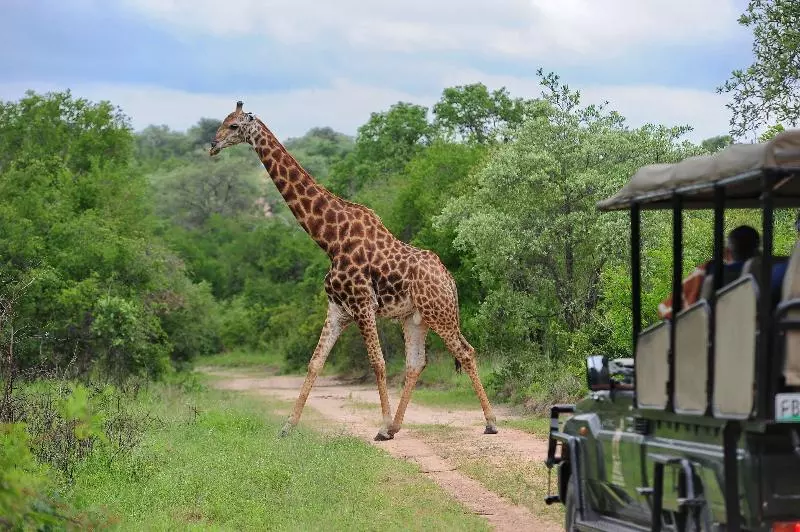 Hotelli Jock Safari Lodge