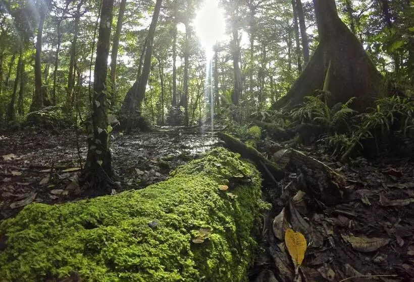 Kosrae Nautilus Resort