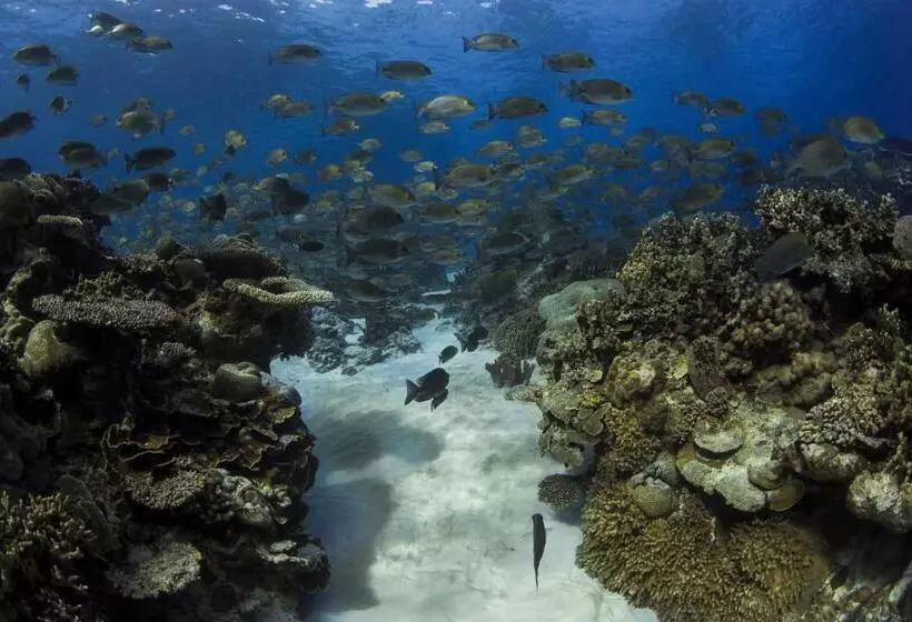 Kosrae Nautilus Resort