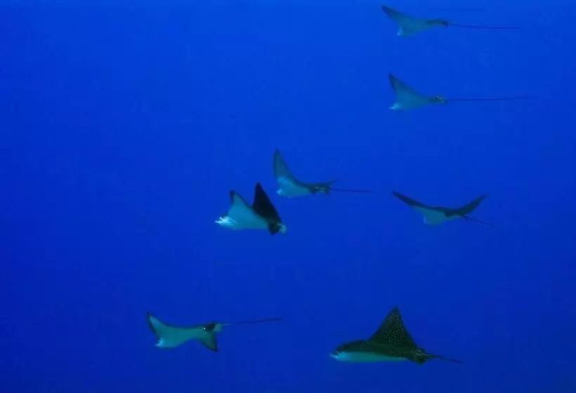 Kosrae Nautilus Resort