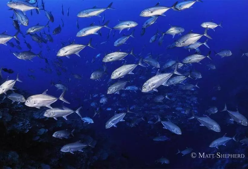 Kosrae Nautilus Resort