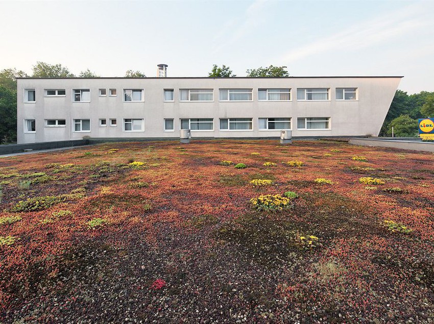 Petul Aparthotel City