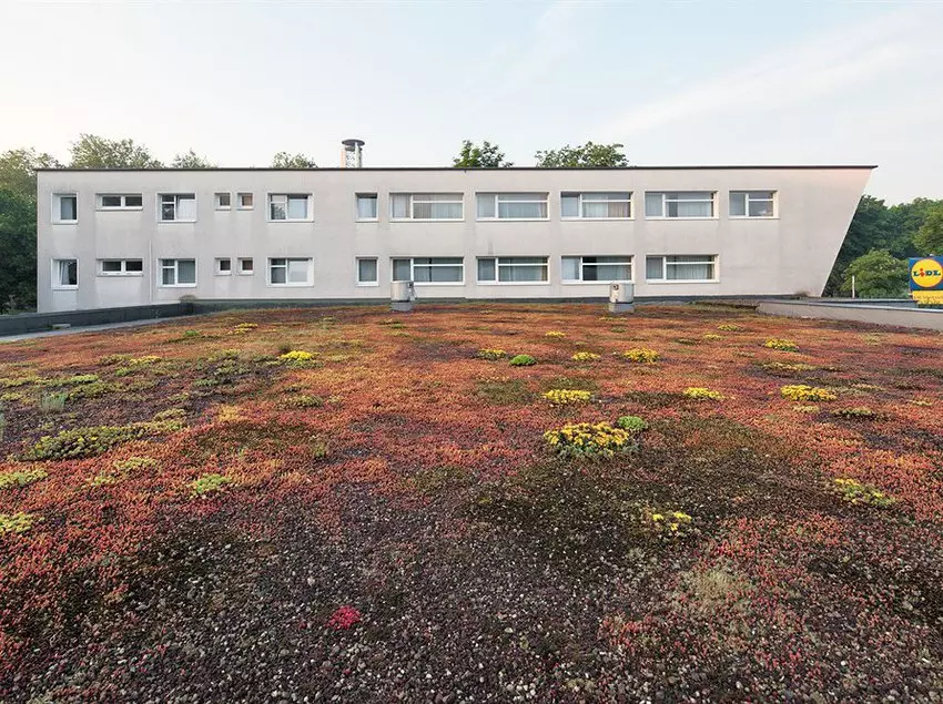 Petul Aparthotel City