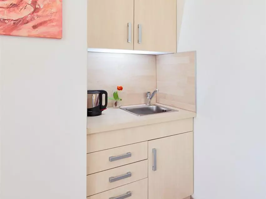 Petul Aparthotel City