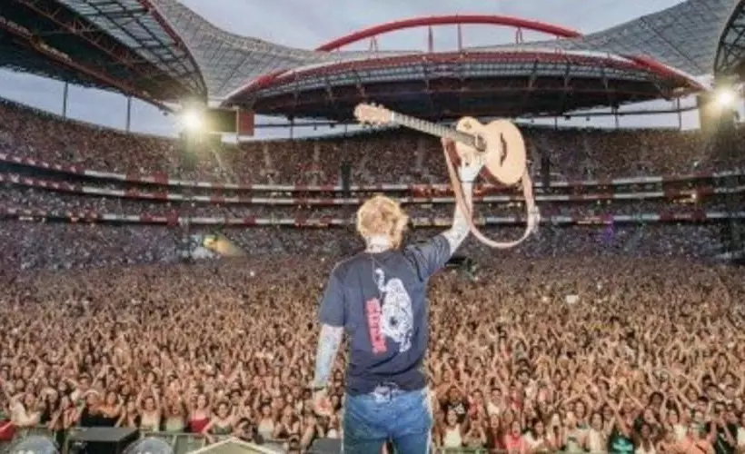 هاستل Mrs Potts