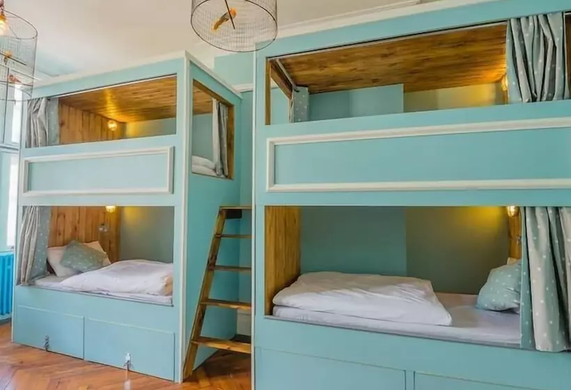 هاستل Mrs Potts