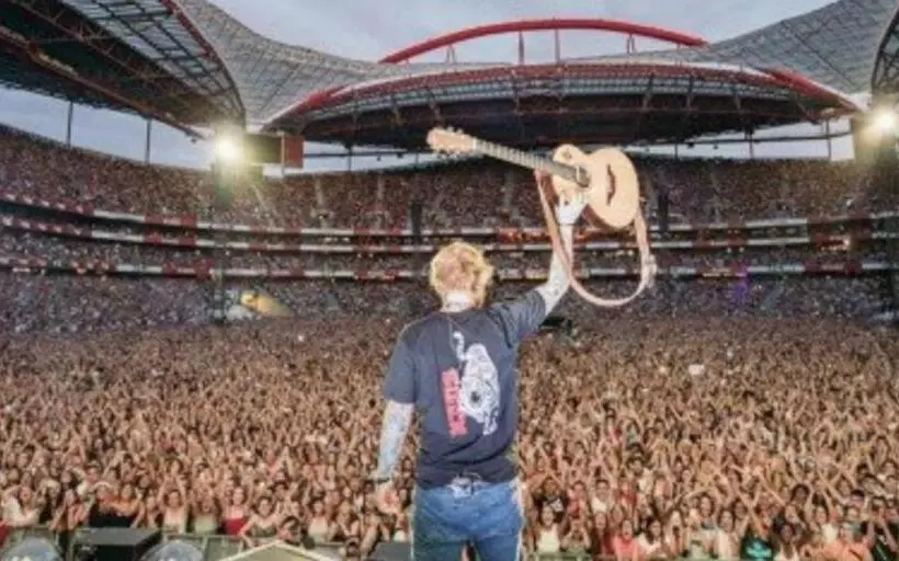 هاستل Mrs Potts