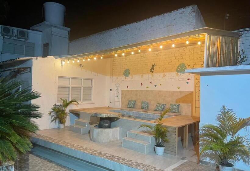 酒店 Kalathea Casa