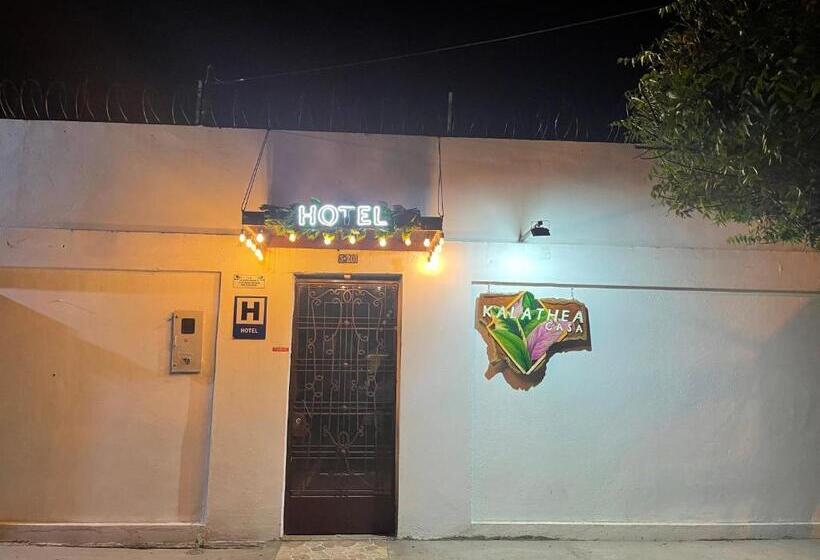 酒店 Kalathea Casa