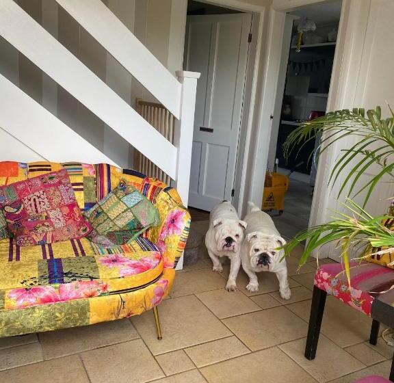 تختخواب و صبحانه Twenty