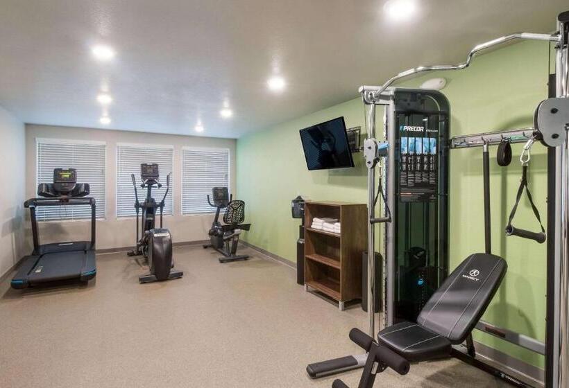 בית מלון כפרי Woodspring Suites Mesa Chandler