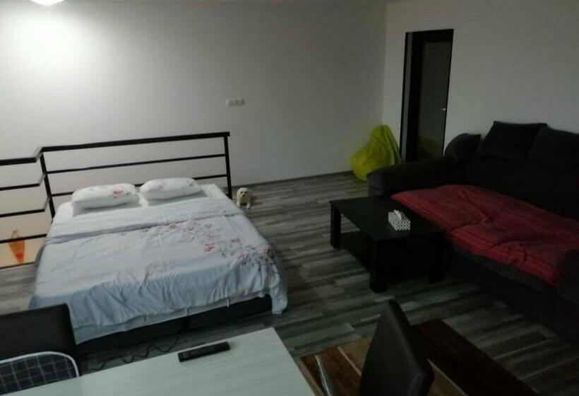 ペンション Spinning La Divici