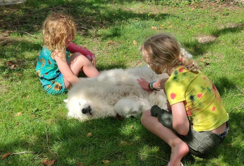 مبيت وإفطار Rêves & Rivière