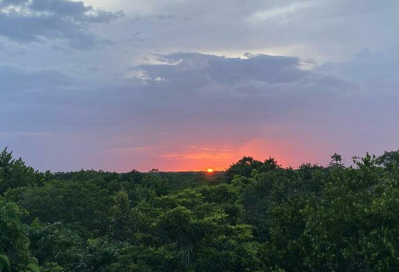 Отель La Casa De María 11:11