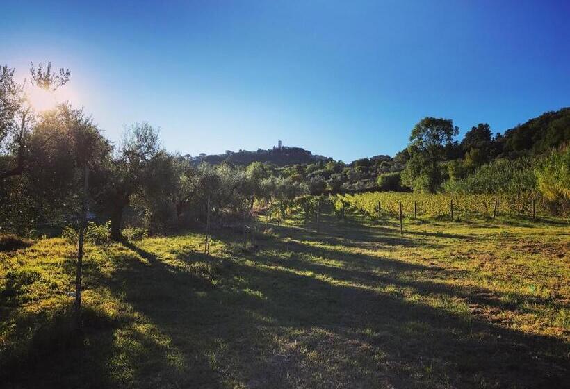 בית מלון כפרי Le Giuncaie   Vigna Con Alloggio