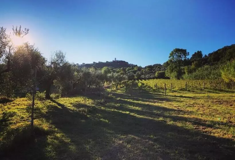 ホテル Le Giuncaie   Vigna Con Alloggio