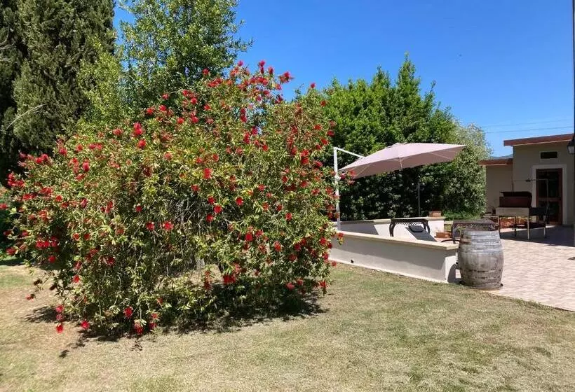 ホテル Le Giuncaie   Vigna Con Alloggio