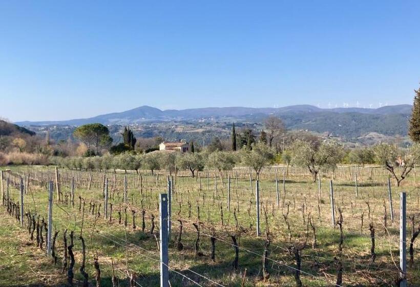 בית מלון כפרי Le Giuncaie   Vigna Con Alloggio