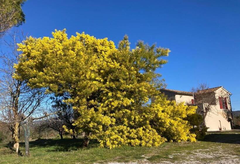 בית מלון כפרי Le Giuncaie   Vigna Con Alloggio