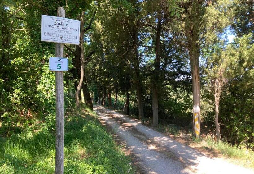 בית מלון כפרי Le Giuncaie   Vigna Con Alloggio