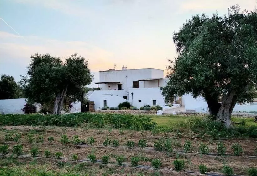 Hotelli Masseria Piccole Taverne