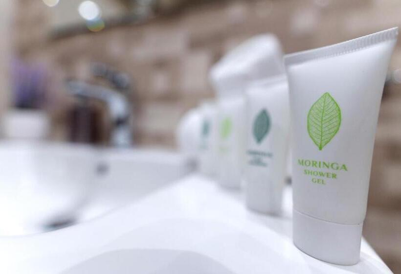 Pensione Guest House Velik