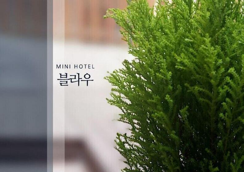 Pensão Blau Guesthouse