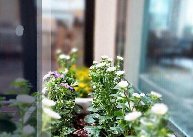 Pensão Blau Guesthouse