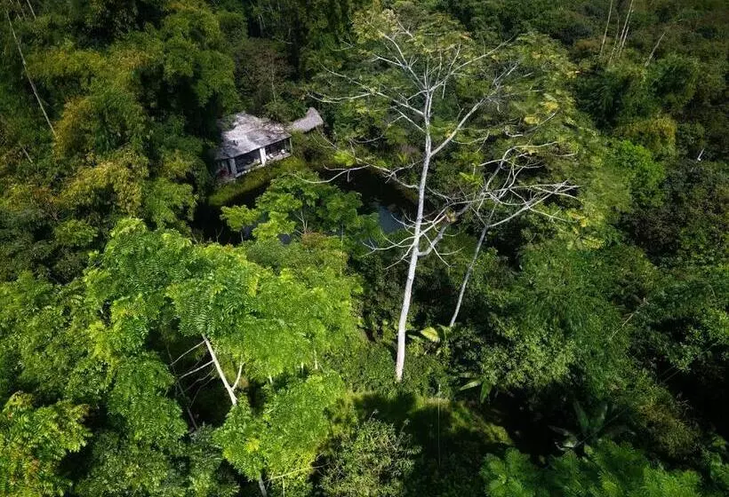 ホテル Cantalarana, Antes Wikiri Lodge