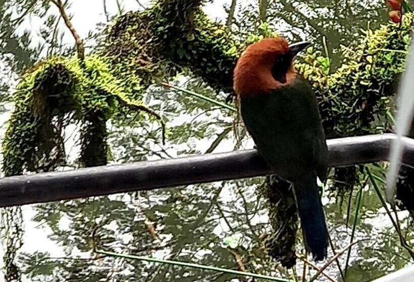 Otel Cantalarana, Antes Wikiri Lodge