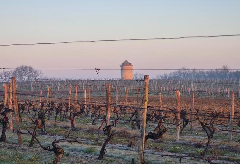 فندق Château De Mons Armagnac