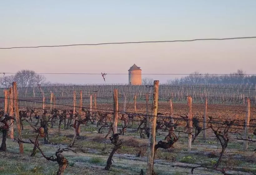 ホテル Château De Mons Armagnac