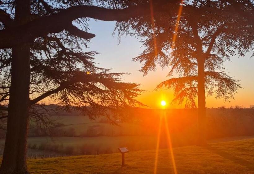 فندق Château De Mons Armagnac