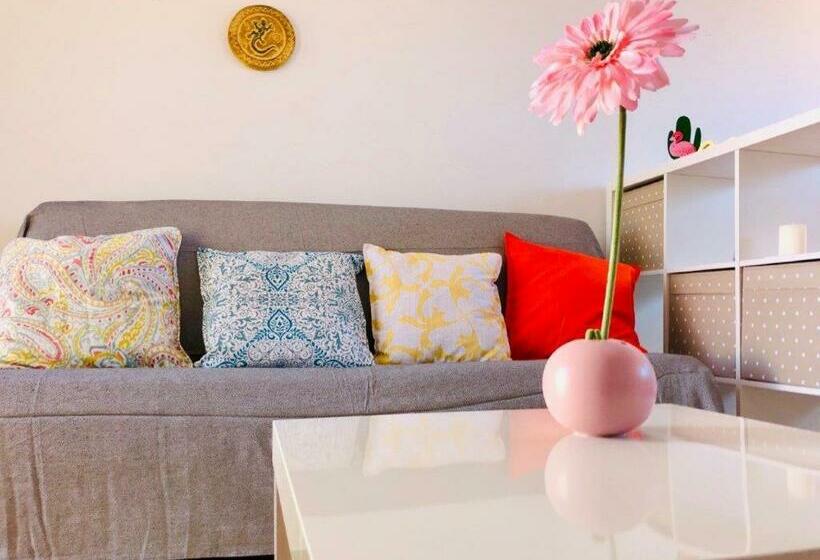 膳宿费 The Summer Treat Shared Apartment Compartido