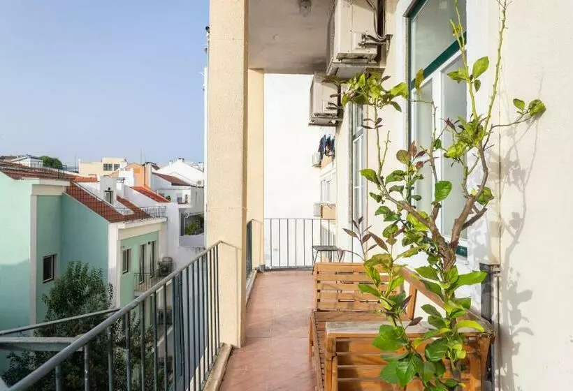 پانسیون Estrela Guesthouse
