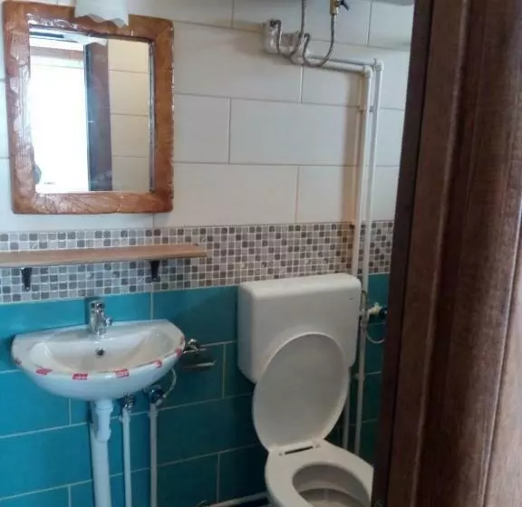 تختخواب و صبحانه Restaurant And Apartments   T Ga Za Jug Lazaropole