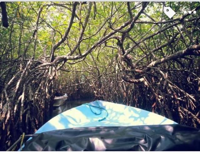 ペンション Family Lodge Guest House