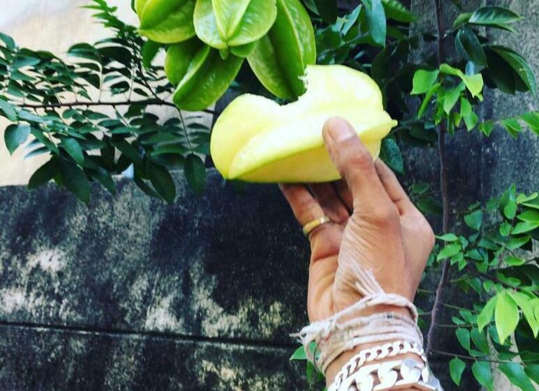 ペンション Family Lodge Guest House