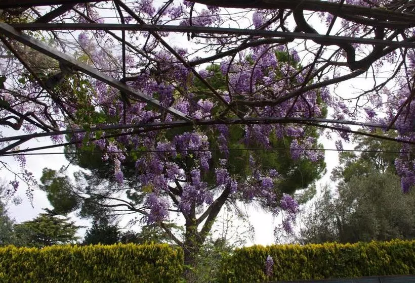 ベッドアンドブレックファースト La Piccola Locanda