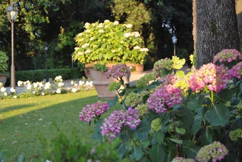 تختخواب و صبحانه Villa Il Sasso Dimora D Epoca