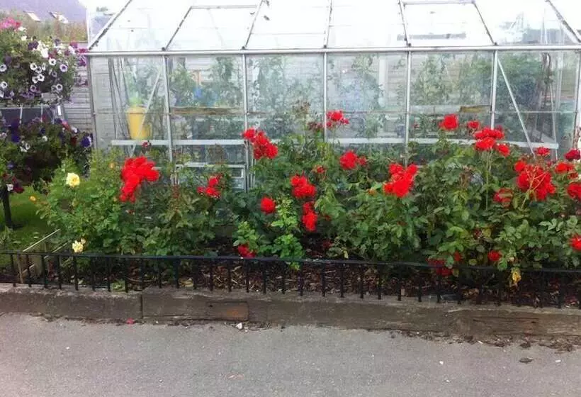 민박 Hillview House