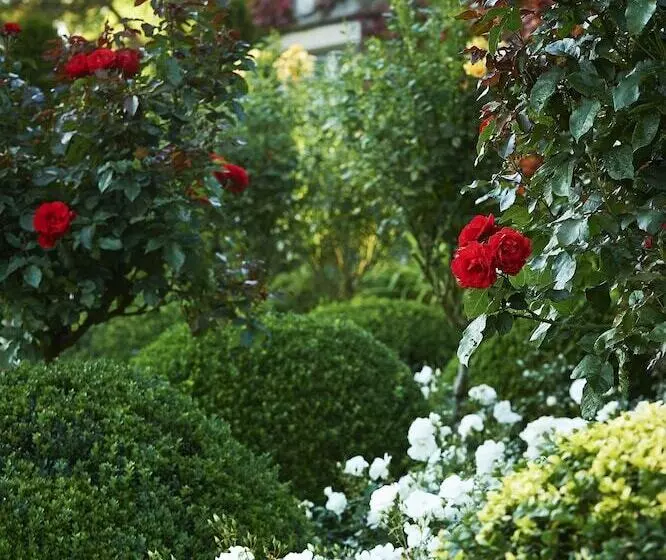 Ballymascanlon Hotel And Golf Resort