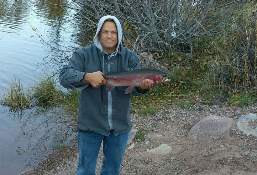 فندق Bear River Lodge