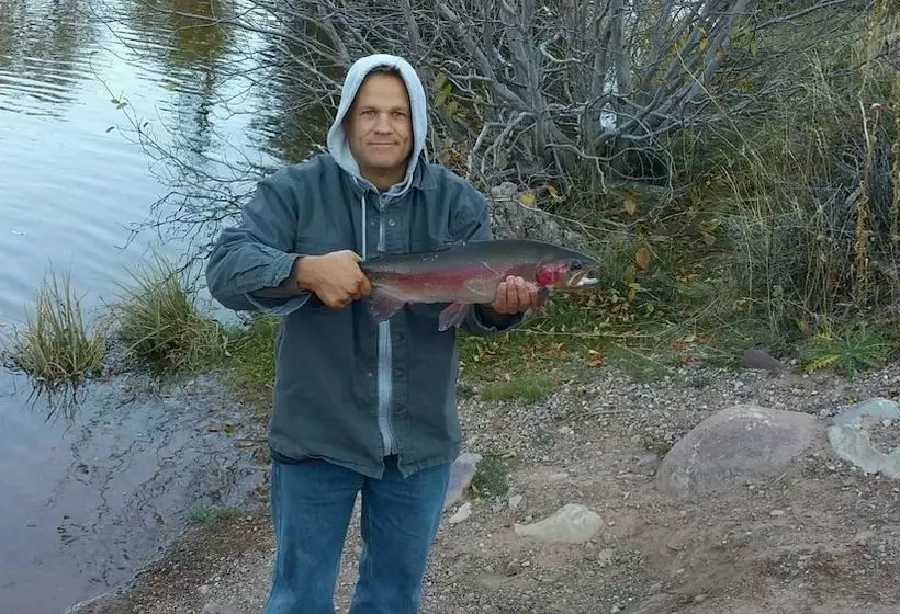 Отель Bear River Lodge