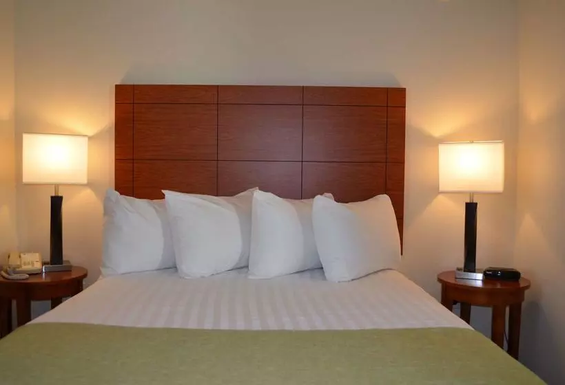 בית מלון כפרי Best Western Liberty Inn Dupont Jblm