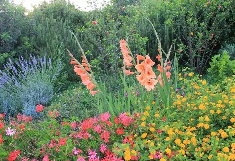 בית מלון כפרי Maria Caderina Green Village