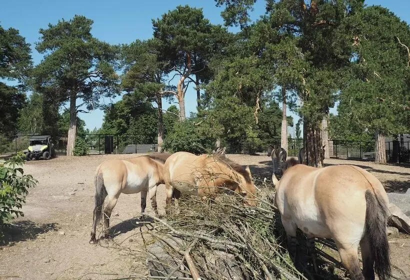 Omena Hotel Helsinki Lönnrotinkatu
