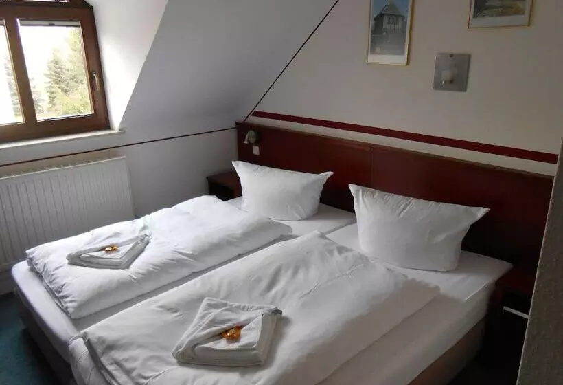 Отель Weisse Elster