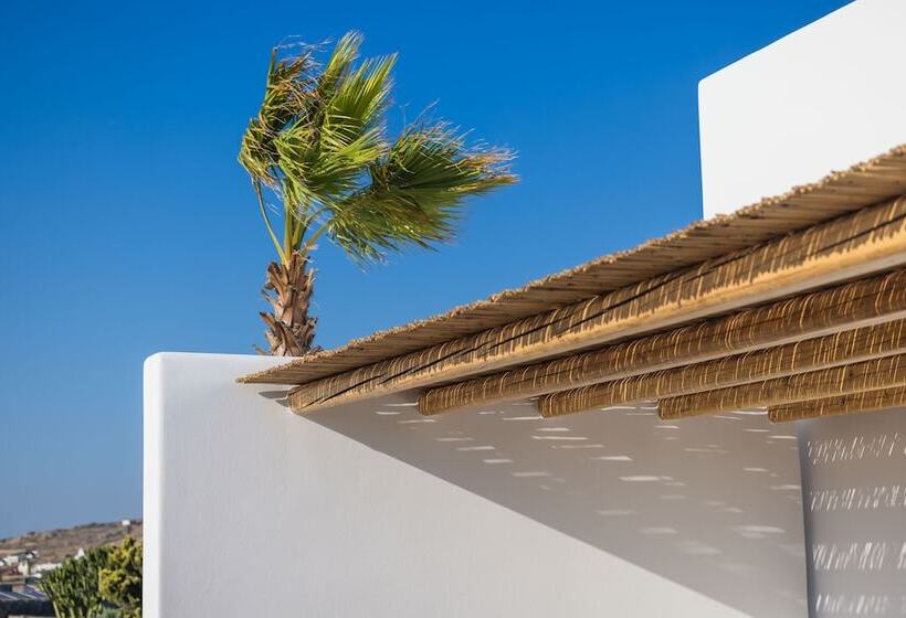 酒店 Adama Mykonos Boutique