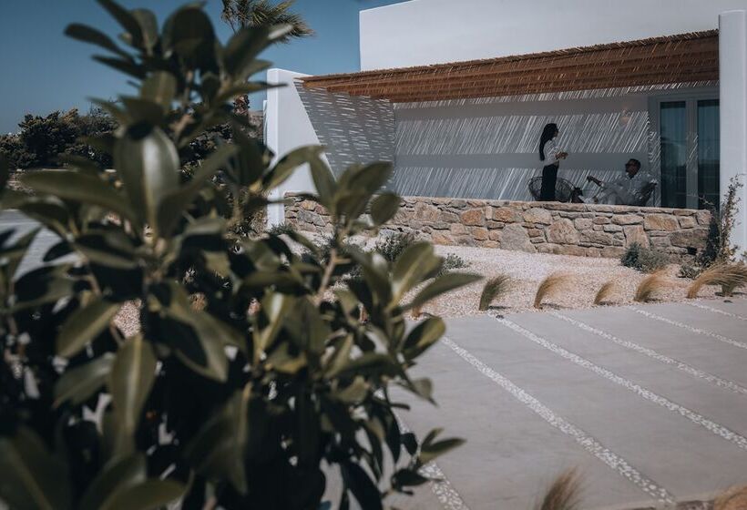 酒店 Adama Mykonos Boutique